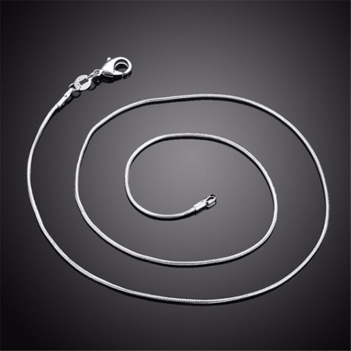 Wholesale Personalized and versatile snake chain necklace, fashionable silver single chain with snake bone chain