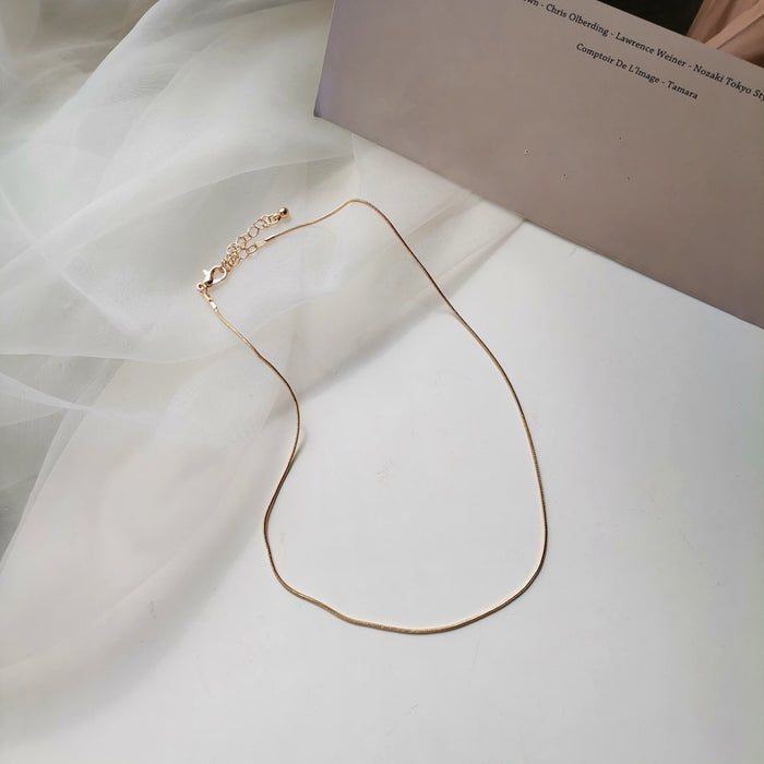 Wholesale   glossy snake chain necklace trendy thin necklace  niche clavicle chain
