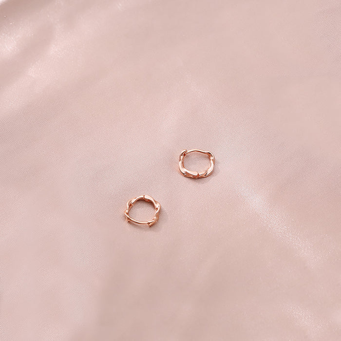 Wholesale Pure silver earrings, niche earrings, high-end earrings