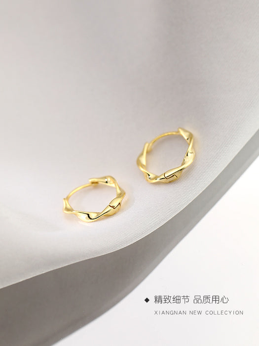 Wholesale Pure silver earrings, niche earrings, high-end earrings