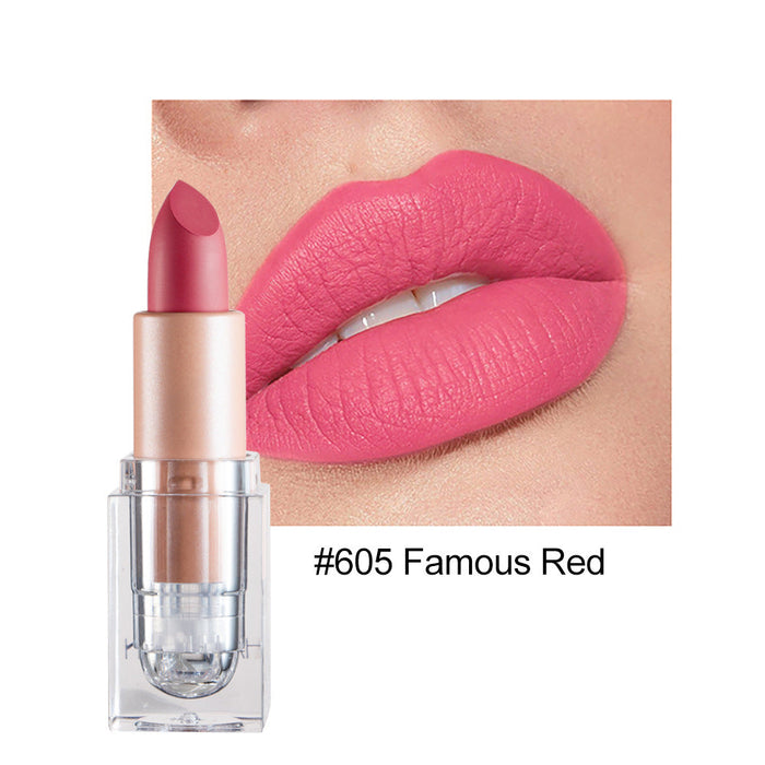 Wholesale small ice matte 12 color lipstick is not easy to decolorize JDC-MK-HDY003