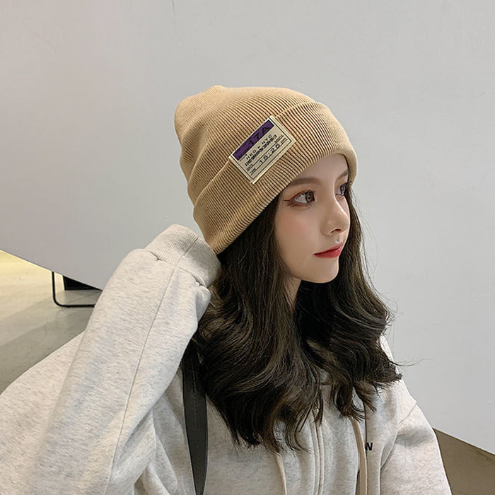 Wholesale Woolen hat women's autumn and winter warm cold hat women's earmuffs head knitted hat pile hat