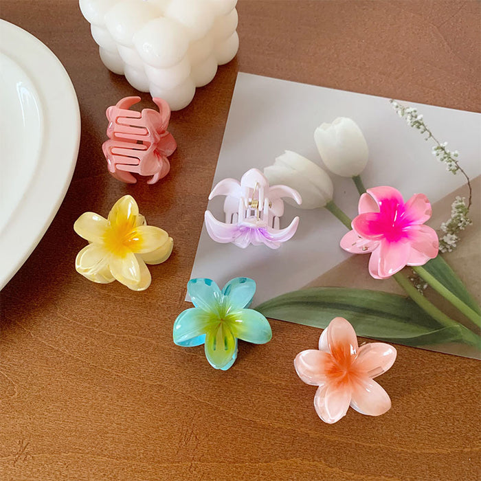 Wholesale Grab clip hair accessory small color