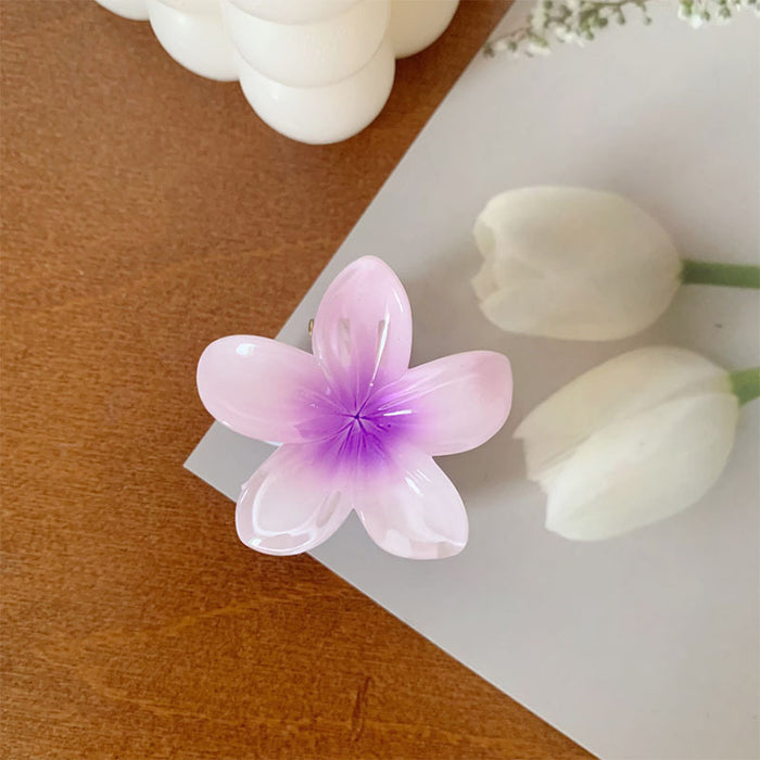 Wholesale Grab clip hair accessory small color