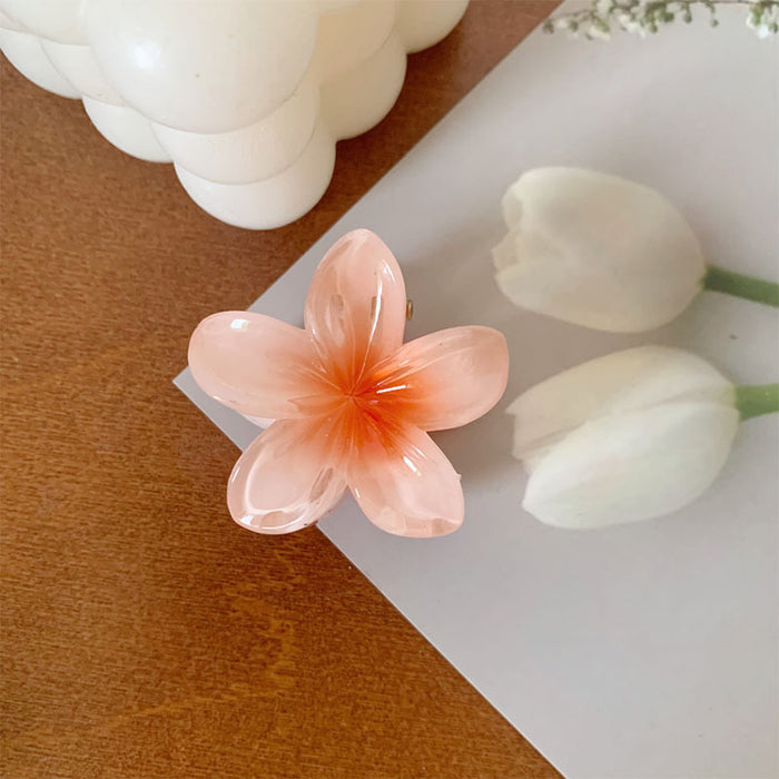 Wholesale Grab clip hair accessory small color