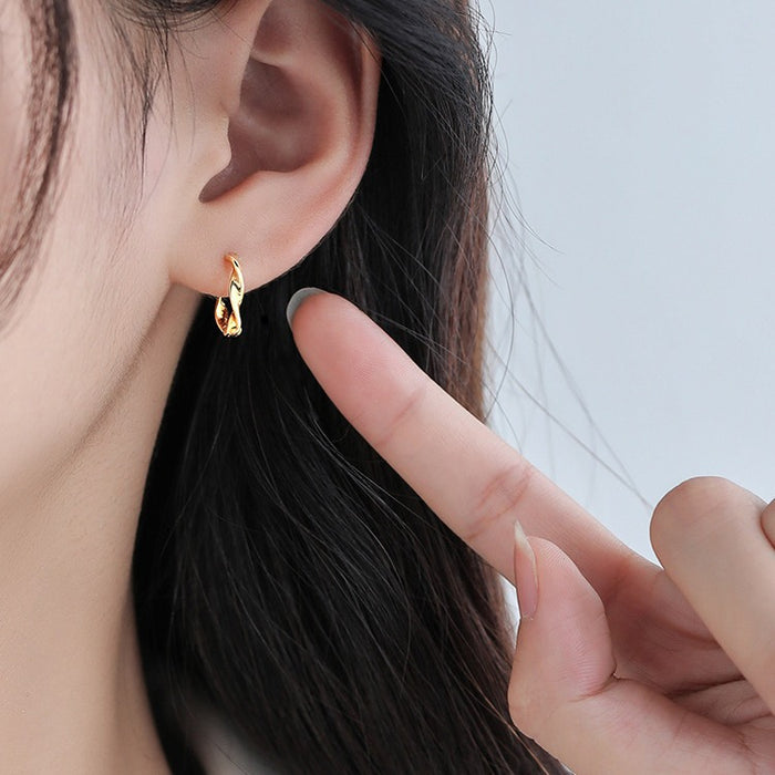 Wholesale Pure silver earrings, niche earrings, high-end earrings