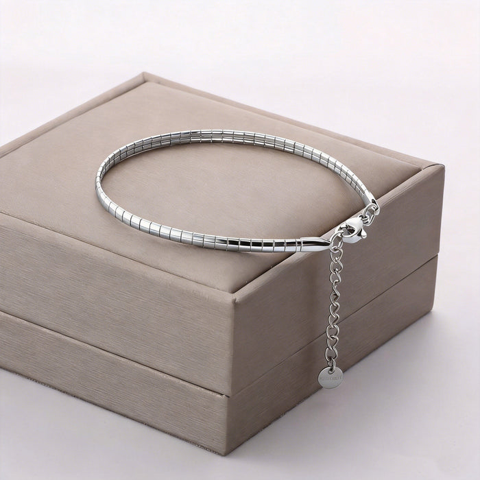 Wholesale Light Luxury Stainless Steel Bracelet — Snake Chain Style