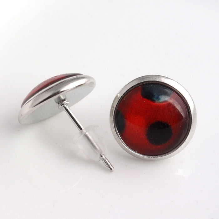 4897344338255