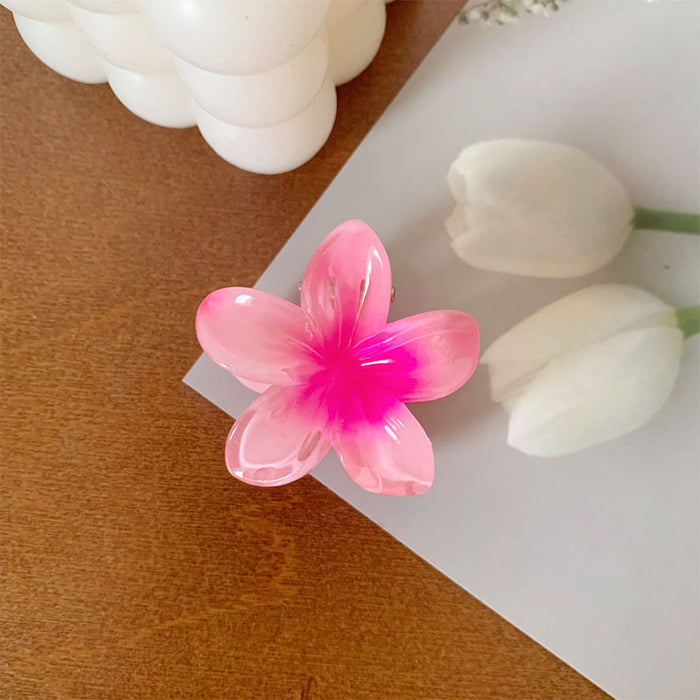 Wholesale Grab clip hair accessory small color