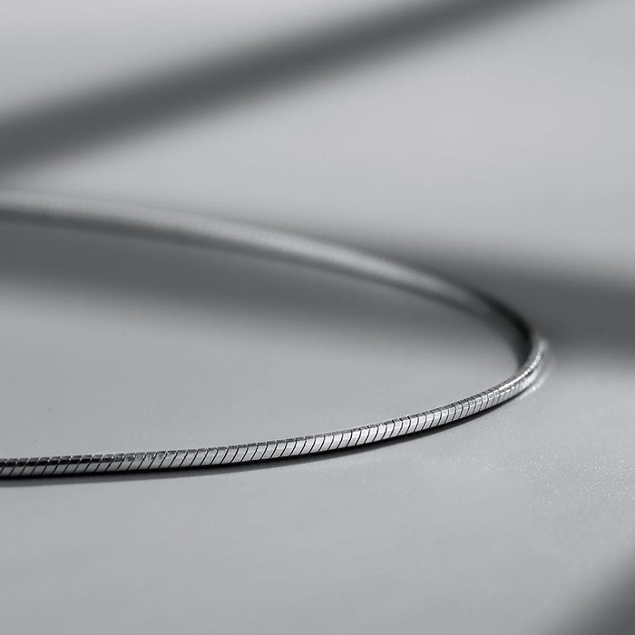 Wholesale Necklace with high-end feel, collarbone chain, plain chain, neck chain accessory, titanium steel thin chain, versatile