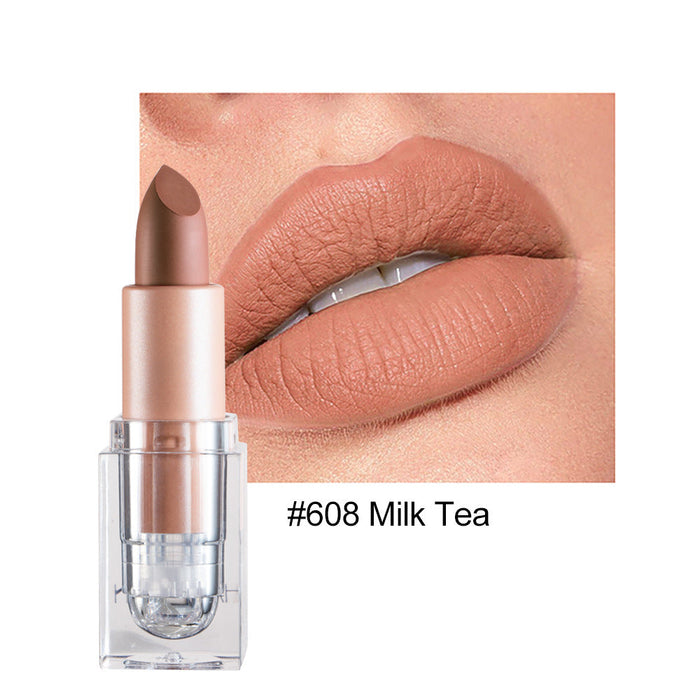 Wholesale small ice matte 12 color lipstick is not easy to decolorize JDC-MK-HDY003