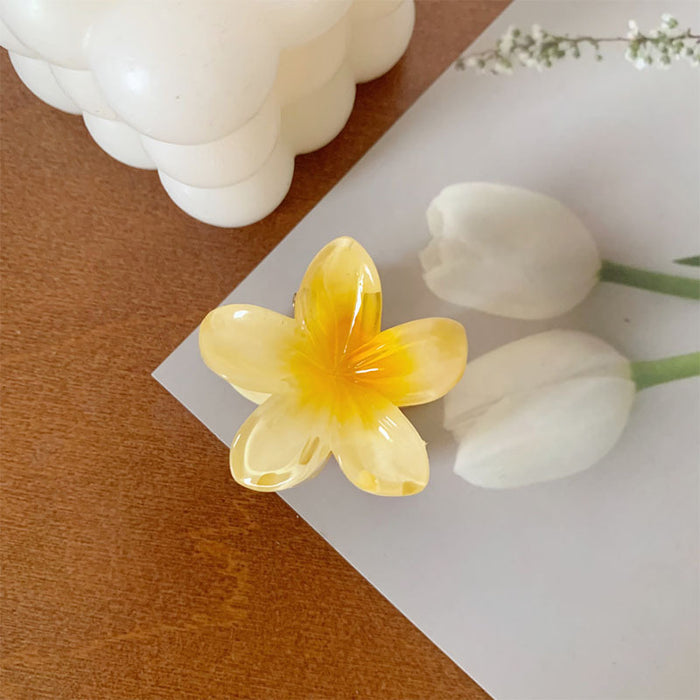 Wholesale Grab clip hair accessory small color