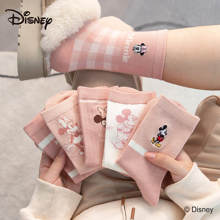 Wholesale Spring and Autumn style 6-pack college style cartoon embroidered mid tube socks