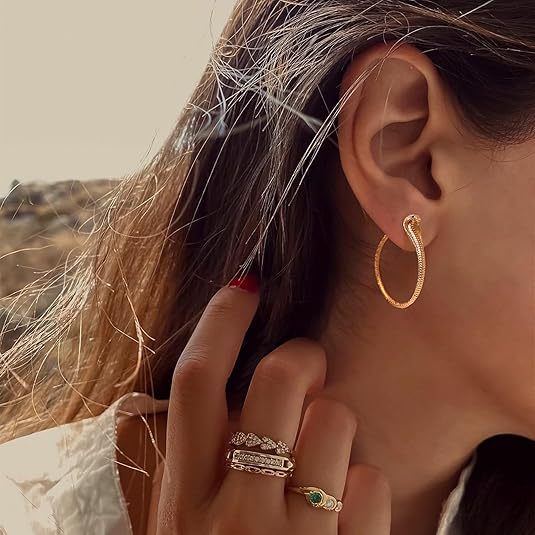 Wholesale New retro exaggerated cobra earrings punk simple and fashionable snake shaped earrings