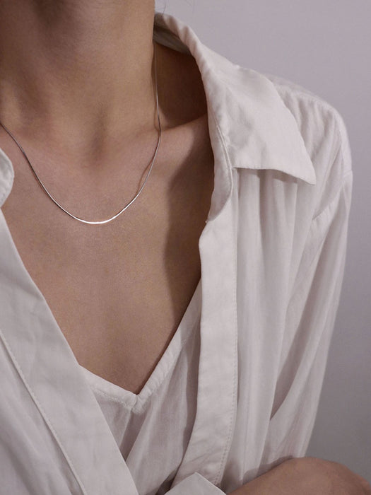 Wholesale Minimally designed snake bone chain, titanium steel necklace, plain chain, niche design, collarbone chain accessories