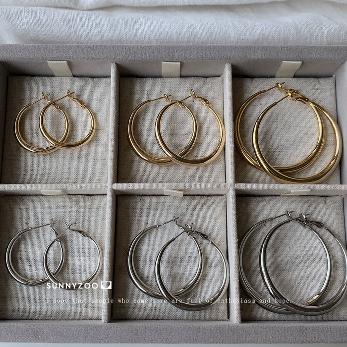 Wholesale Earrings Earrings Cold Style Elegant Elegant Earrings for Women Ins