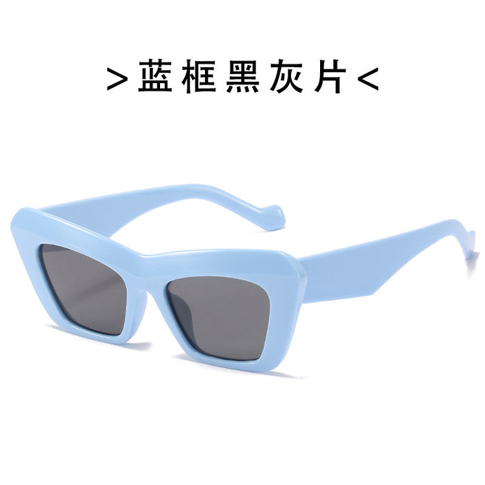 Wholesale sunglasses women's cat eye sunglasses women's fashionable outdoor glasses sunglasses