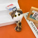 dxx-img:7be1d50d4b3795bf0f6155b30f280962,JDC-KC-6142637760656-M1