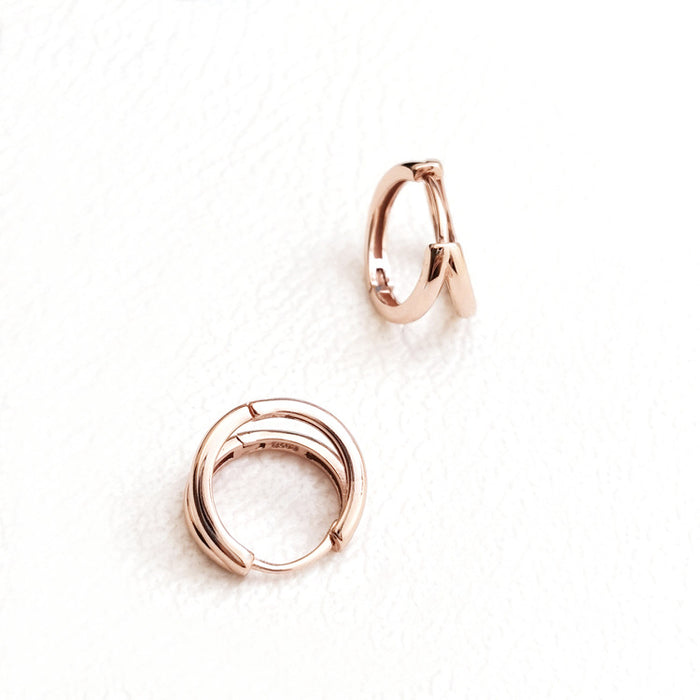 Wholesale High end, simple and fashionable earrings with a geometric ear clasp, personalized and cool style, double layered circle