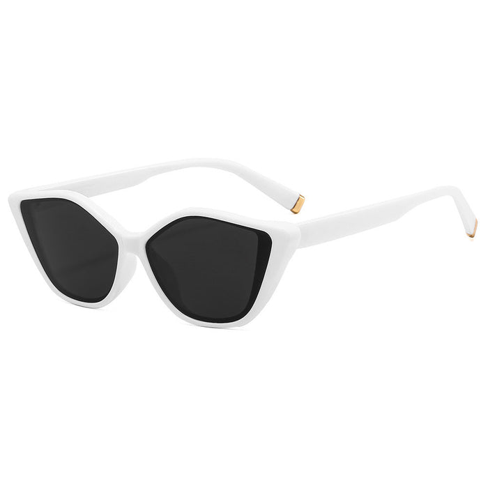Wholesale 2023 Retro Cat Eye Shape PC Sunglasses JDC-SG-ZhuoM001