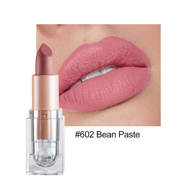 Wholesale small ice matte 12 color lipstick is not easy to decolorize JDC-MK-HDY003