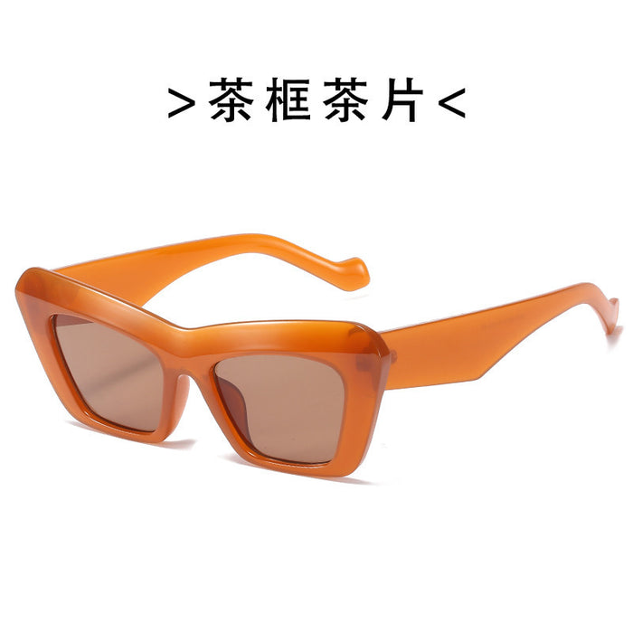 Wholesale sunglasses women's cat eye sunglasses women's fashionable outdoor glasses sunglasses