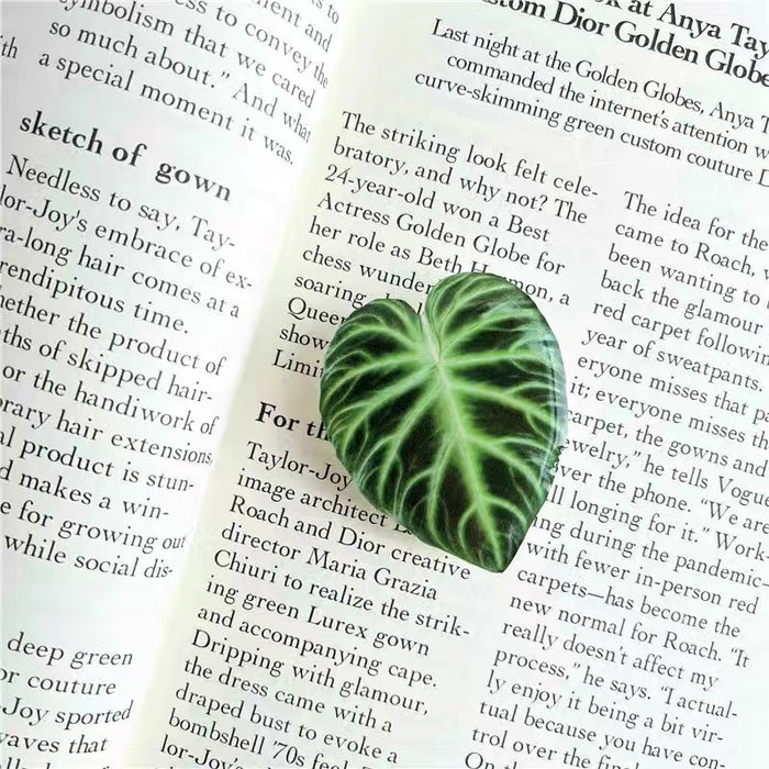 Wholesale Bracket Creative Cartoon Phone stand