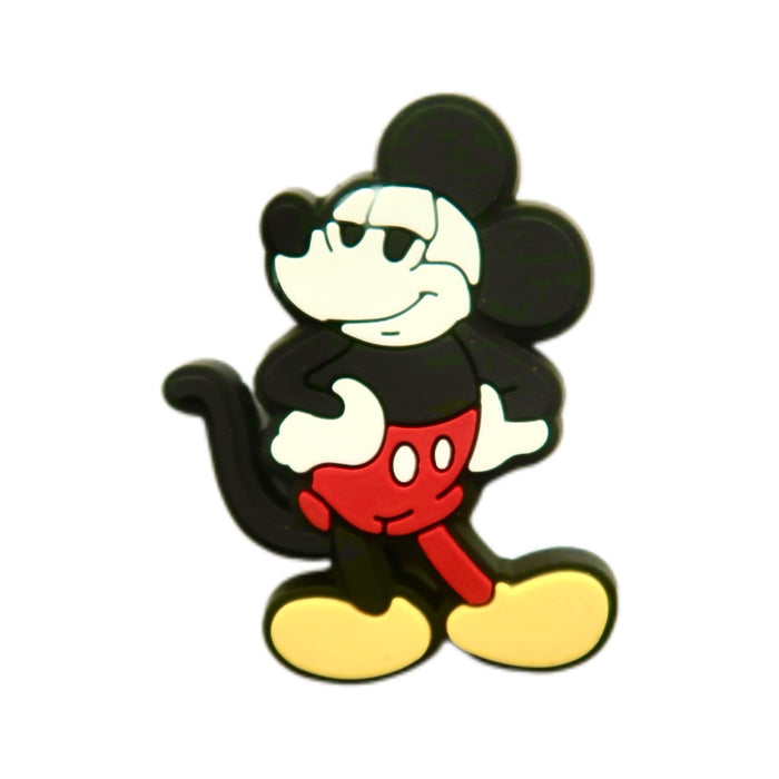 Wholesale New Cartoon Series PVC Soft Rubber Hole Shoes, Flower Shoes, Buckles, Cartoon Garden Shoes, Decorative Accessories