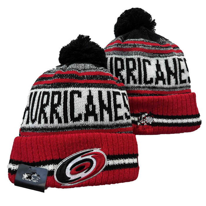 Wholesale Autumn and winter warm and cold-proof embroidered knitted fashionhat