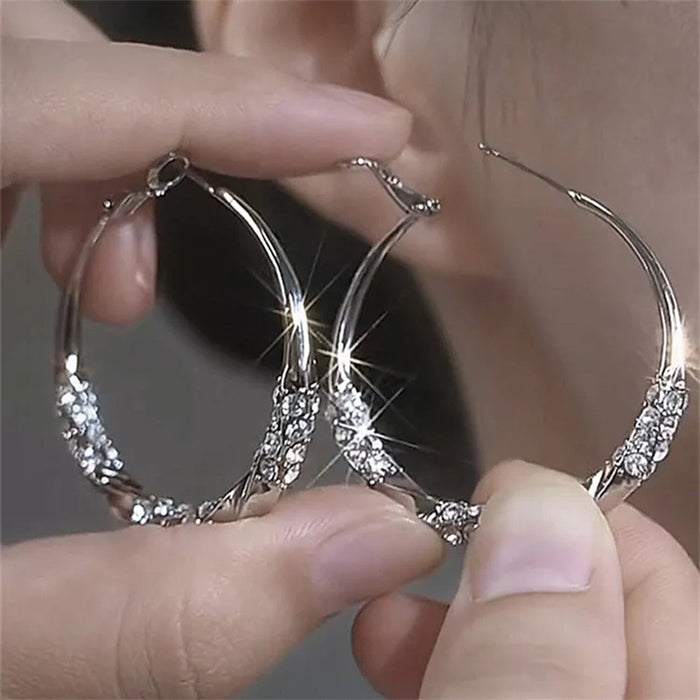 Wholesale Silver Needle Simplicity, Light Luxury, Large Circle Earrings, Women's Luxury, Niche Fashion Earrings, Earrings, Accessories
