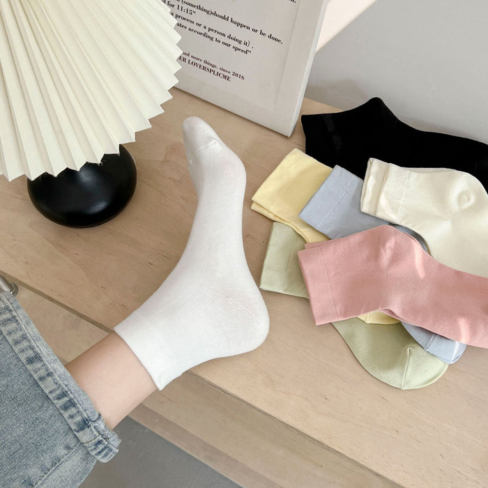 Wholesale Socks made of pure cotton, thin cut, breathable, elastic and boneless