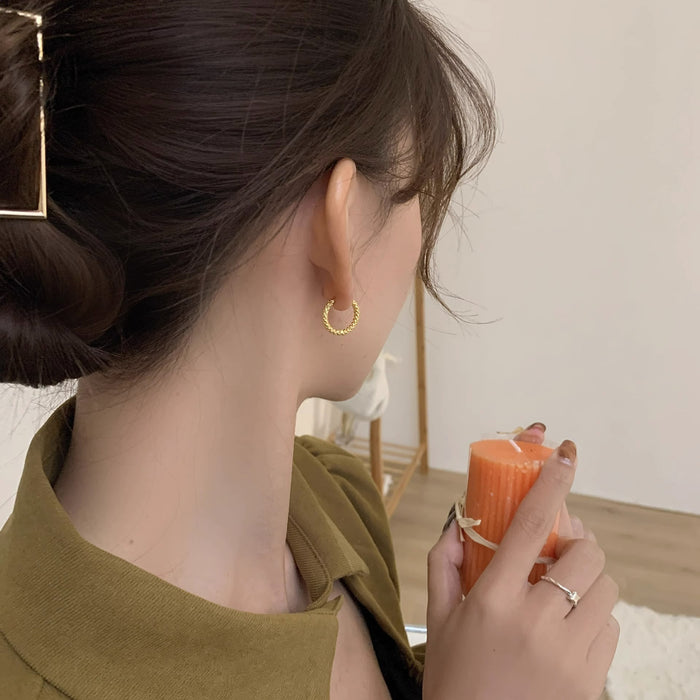 Wholesale Stainless steel circle versatile earrings, ear buckles, niche titanium steel earrings, earrings, temperament