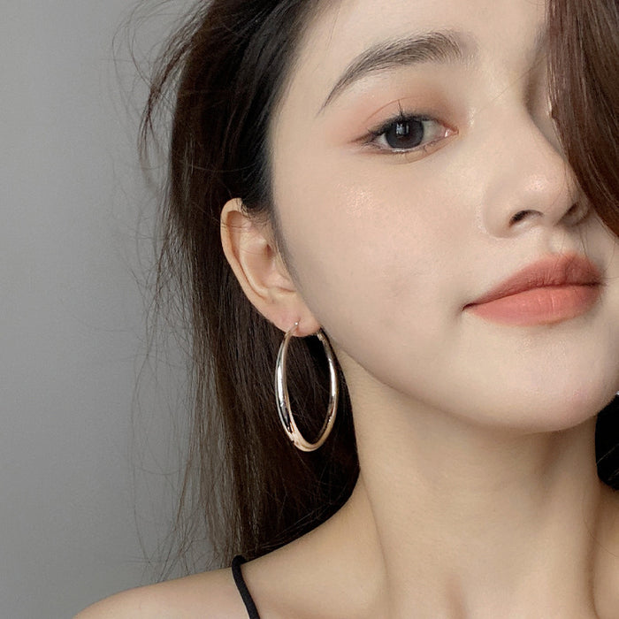 Wholesale Silver Needle Geometric Circle Earrings, Fashionable and Simple Metal Wind Earrings, Versatile and High Grade Sensory Earrings, Wholesale of Earrings