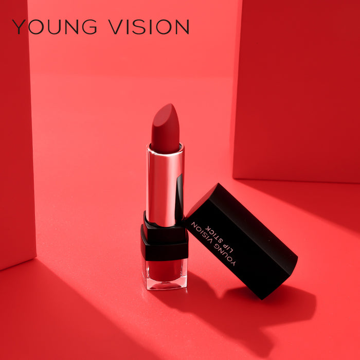 Wholesale 12 color single lipstick