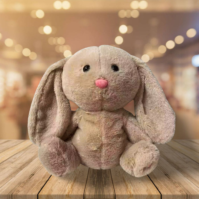 Wholesale Cartoon Hand Warmer  Bear Water-Filled Hot Water Bottle Cute Plush Toy Hand Warmer