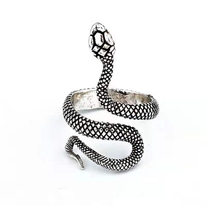 Wholesale European and American Style Personality Snake Ring Cool Ring Retro Open Eye Snake Ring JDC-RS-NH003