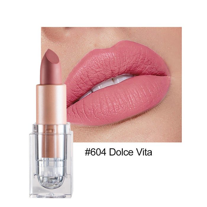 Wholesale small ice matte 12 color lipstick is not easy to decolorize JDC-MK-HDY003