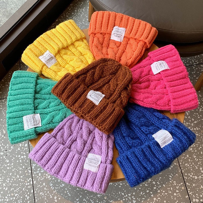 Wholesale Women's Knitted Hat Winter Thickened Fashion Warm Twist All-match Ear Protection Wool Hat Piled