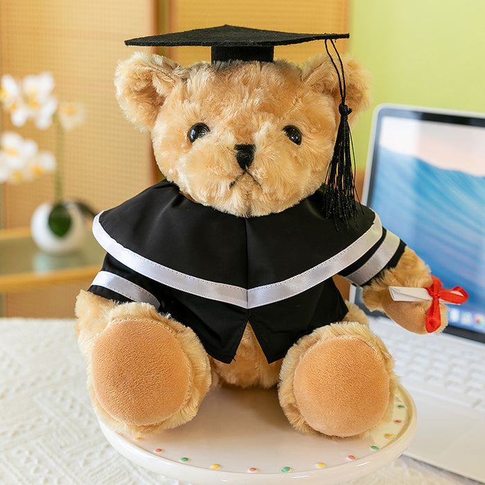 Wholesale Graduation Doll Bear Bachelor Doll JDC-DO-MW017