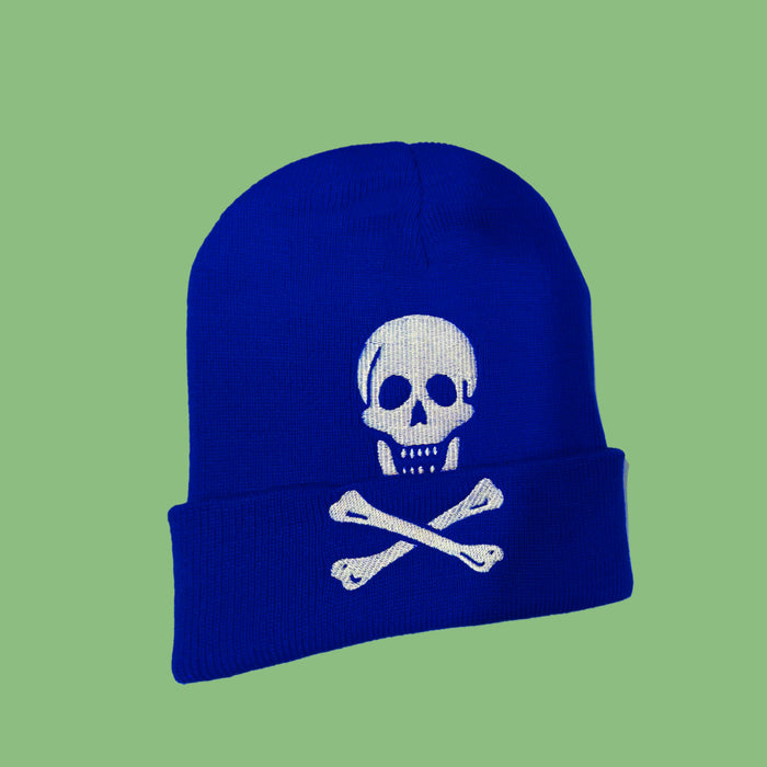 Wholesale Knitted skull knitted wool hat  men and women popular hip-hop warm hat