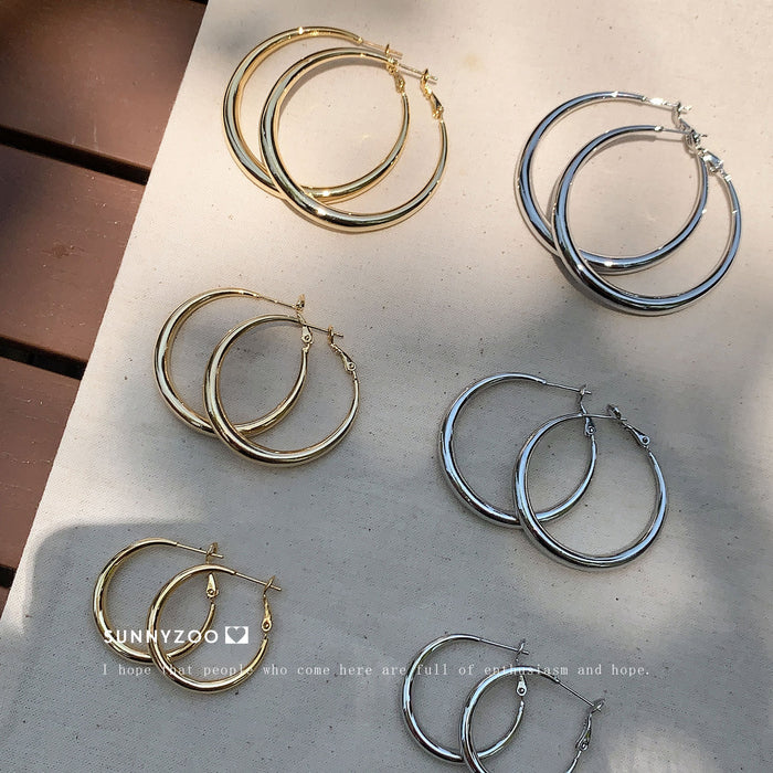 Wholesale Earrings Earrings Cold Style Elegant Elegant Earrings for Women Ins