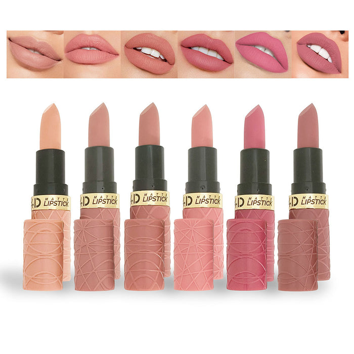 Wholesale A set of 6 new matte matte matte lipstick modern brown red lipstick set