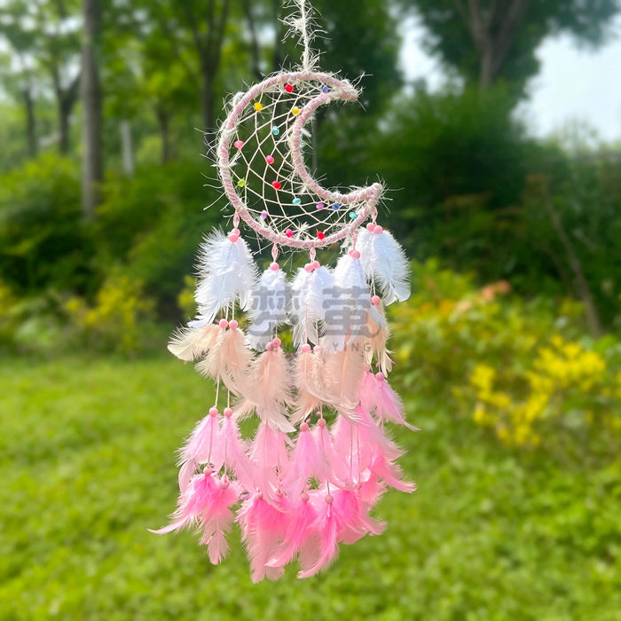 Wholesale Feather Dreamcatcher Wall Hanging Decorative Accent MOQ≥2