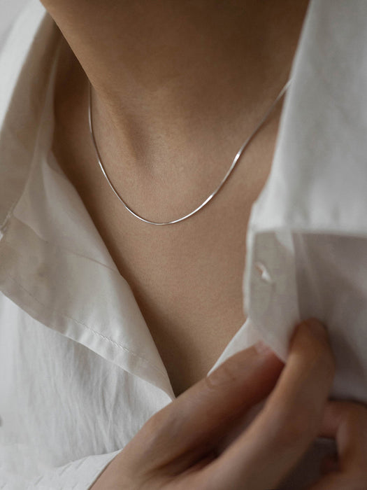 Wholesale Minimally designed snake bone chain, titanium steel necklace, plain chain, niche design, collarbone chain accessories