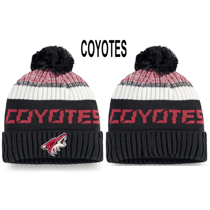 Wholesale Hat wool knit hat embroidery Hockey League hat sports letter flanging warm round hat