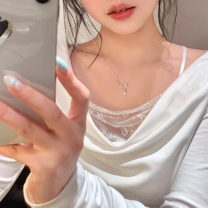 Wholesale Titanium steel non fading sparkling zirconium snake necklace, high-end, light luxury, niche collarbone chain accessories, necklaces