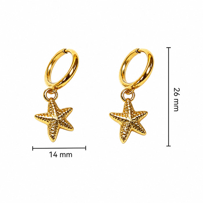 Wholesale stainless steel earrings,  star-shaped five-pointed star niche design earrings,  fashionable and unique stud earrings.