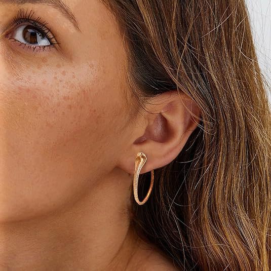 Wholesale New retro exaggerated cobra earrings punk simple and fashionable snake shaped earrings