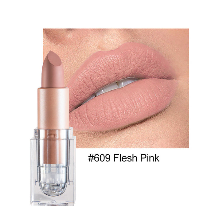 Wholesale small ice matte 12 color lipstick is not easy to decolorize JDC-MK-HDY003