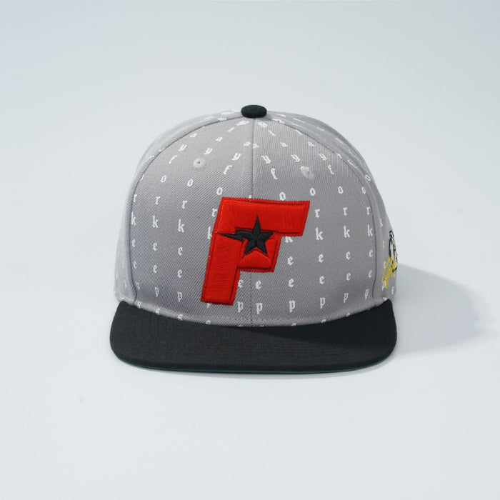 Wholesale Flat edge hat embroidered with letters, hard gray top duckbill cap